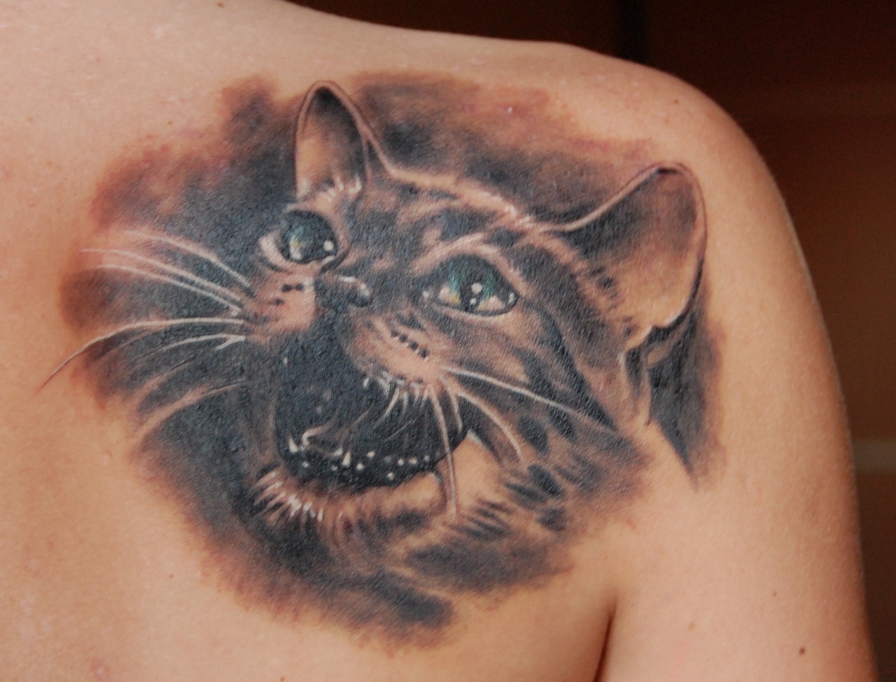Фото, значение в магии татуировки " Кот. Кошка. Котенок. " - Страница 2 Z_32759e08